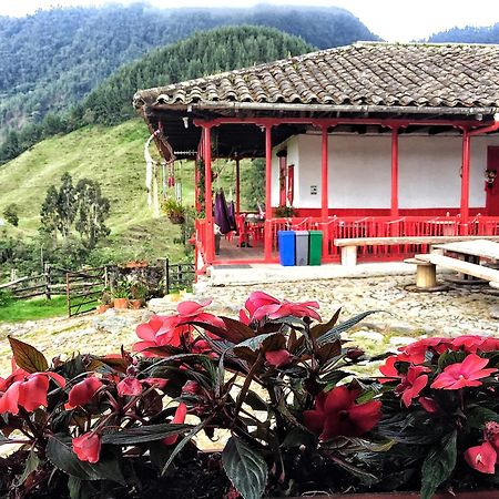 Hostal La Laguna Villamaría المظهر الخارجي الصورة