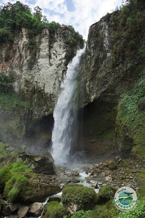 Hostal La Laguna Villamaría المظهر الخارجي الصورة